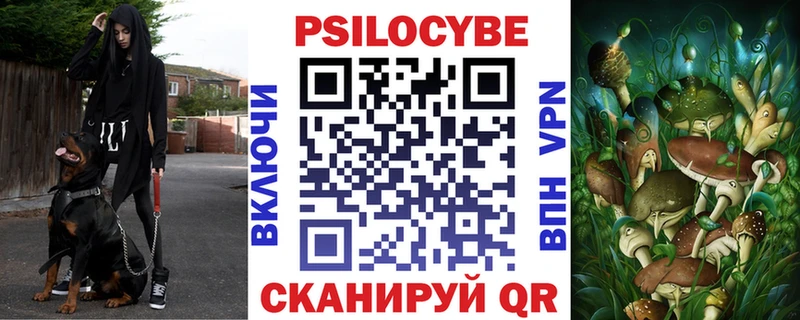 как найти закладки  Полярный  Галлюциногенные грибы прущие грибы 